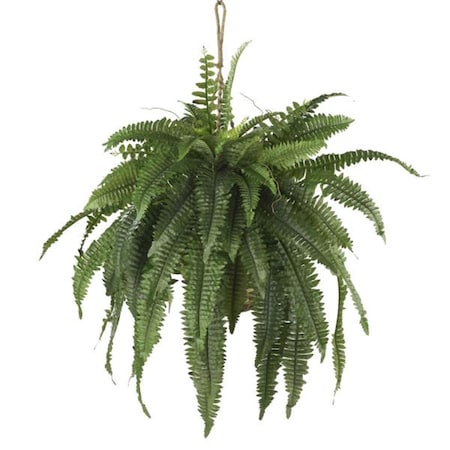 Dare2Decor Large Boston Fern Han- ng Basket DA416544